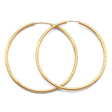 Hoop Earrings in 14K Gold