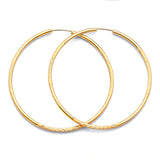 Hoop Earrings in 14K Gold