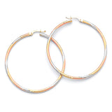 Hoop Earrings in 14K Tri-Color Gold