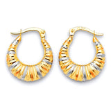 Scallop Hoop Earrings in 14K Tri-Color Gold
