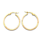 Hoop Earrings in 14K Gold