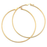Hoop Earrings in 14K Gold