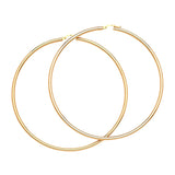 Hoop Earrings in 14K Gold