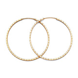 Hoop Earrings in 14K Gold
