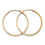 Hoop Earrings in 14K Gold