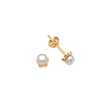 Stud Earrings with Pearl in 14K Gold and Butterfly Backing