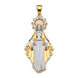 Dije de la Virgen María para Dama en Oro de 14K Tricolor con Circonia Cúbica Blanca