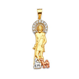 White CZ Saints Pendant in 14K Tri-Color Gold